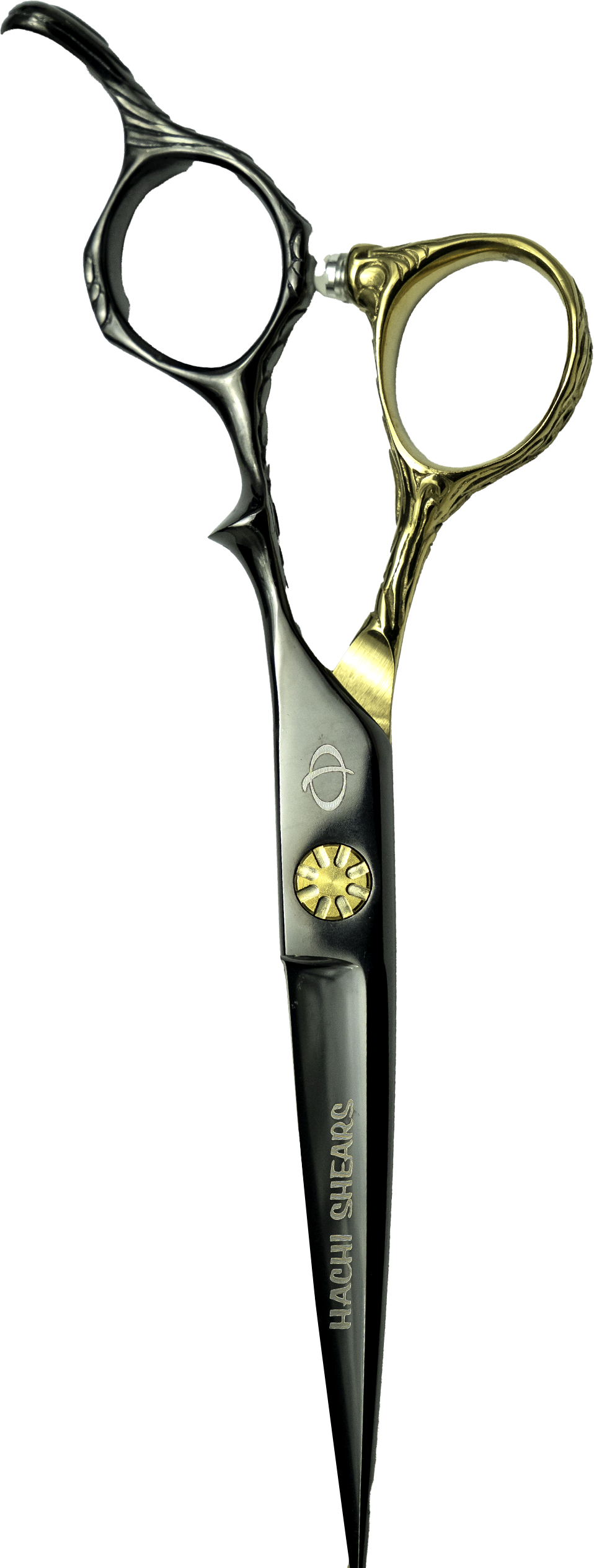 Black and Gold